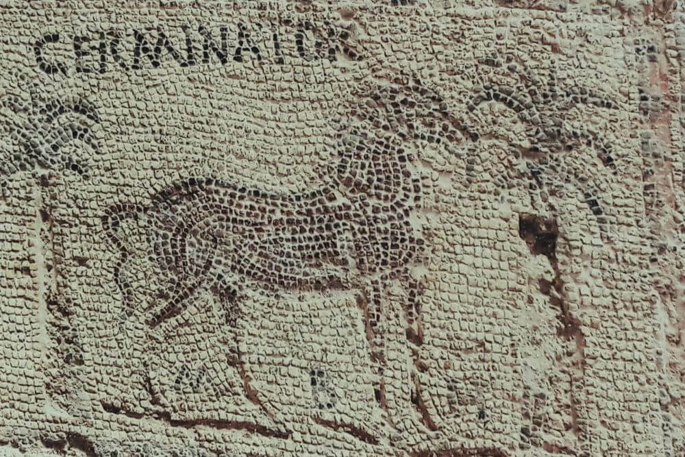 Mosaico Camarzana de Tera