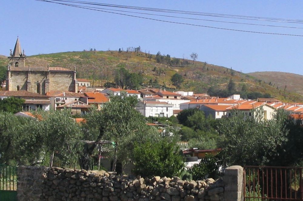 Furones Hurones Hoyos Cáceres