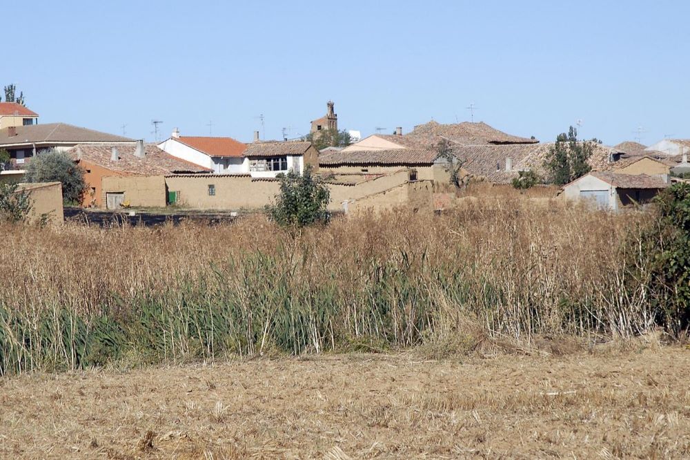 Furones Hurones Urones Castroponce