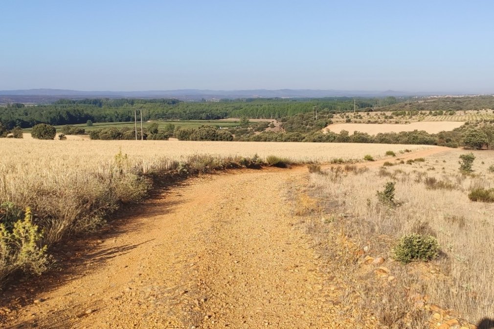 Camino Herradura Sitrama 4 Camino Herradura Sitrama