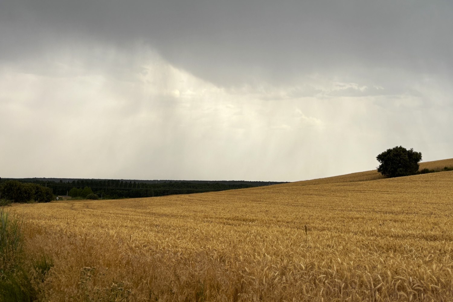 Sitrama Tera monte río lluvia