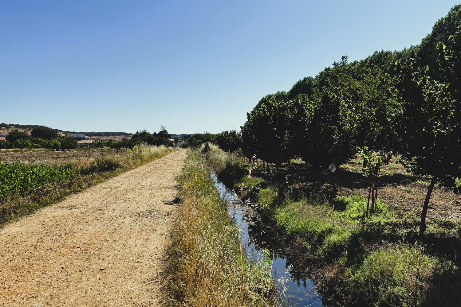 Camino entre Sitrama y Santibáñez de Tera