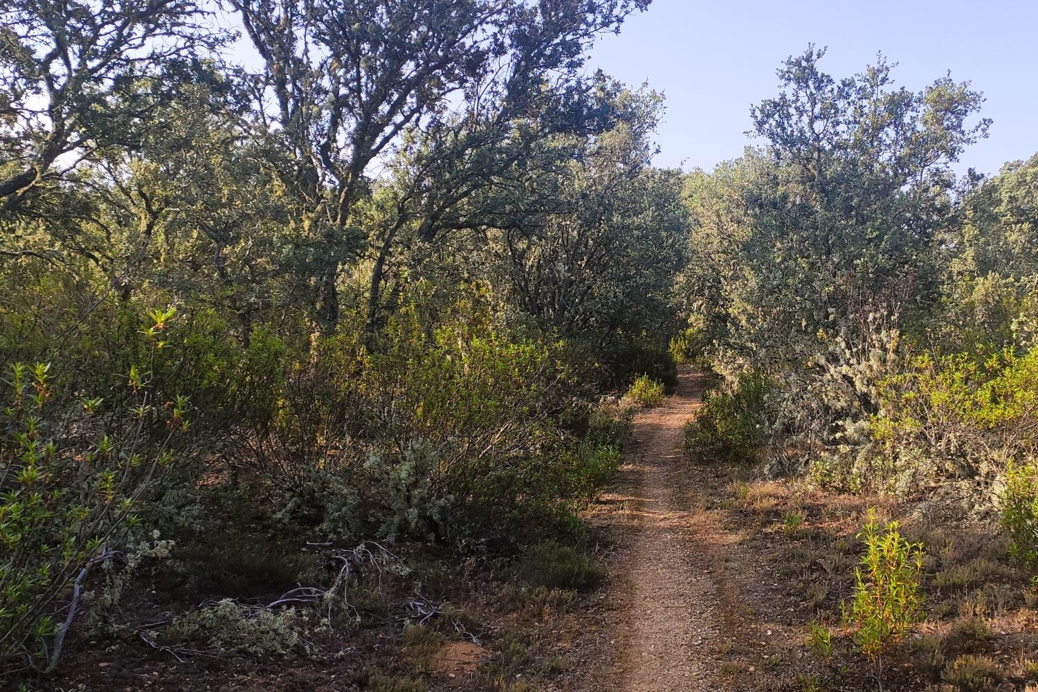 Monte de Arriba Sitrama de Tera