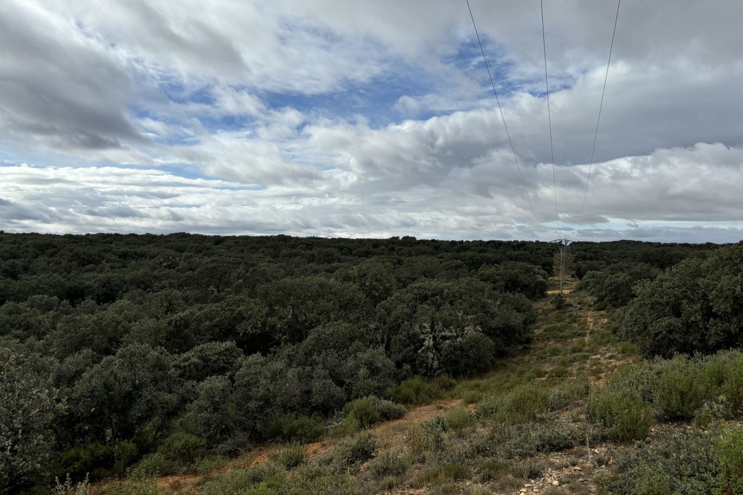 Monte del Raso Sitrama de Tera