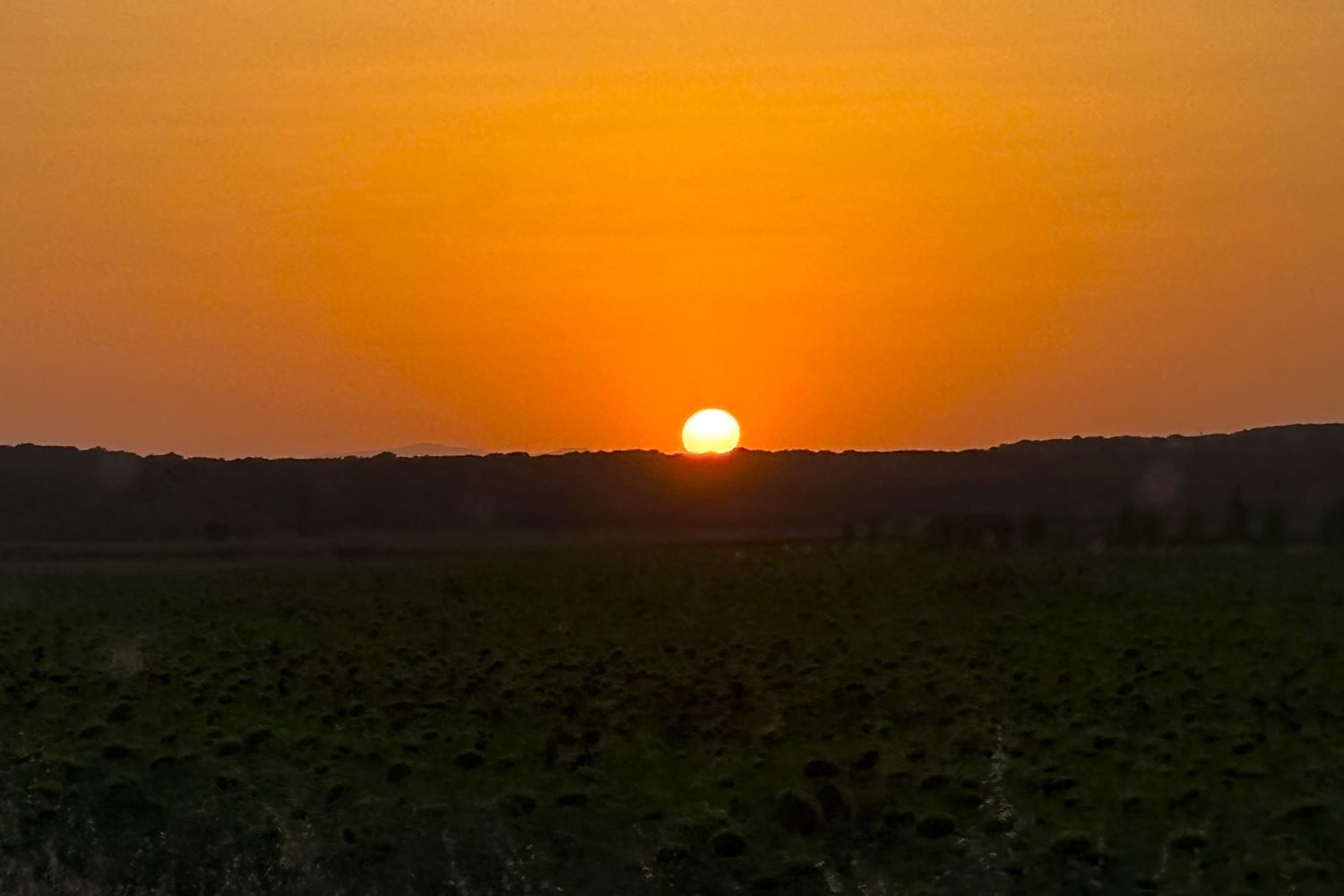 Sol atardecer Sitrama