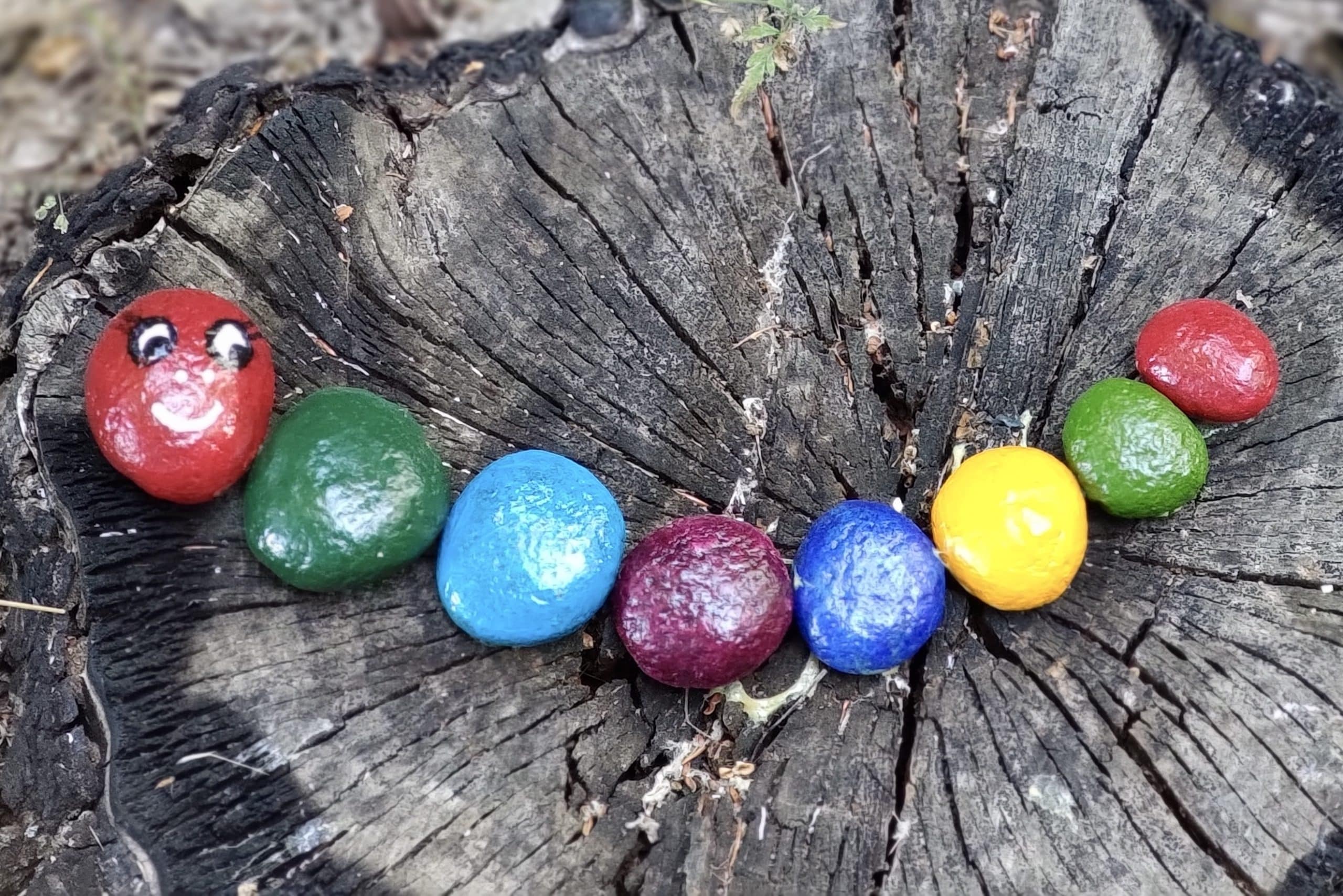 Piedras m&aacute;gicas paseo fluvial Santib&aacute;&ntilde;ez de Tera