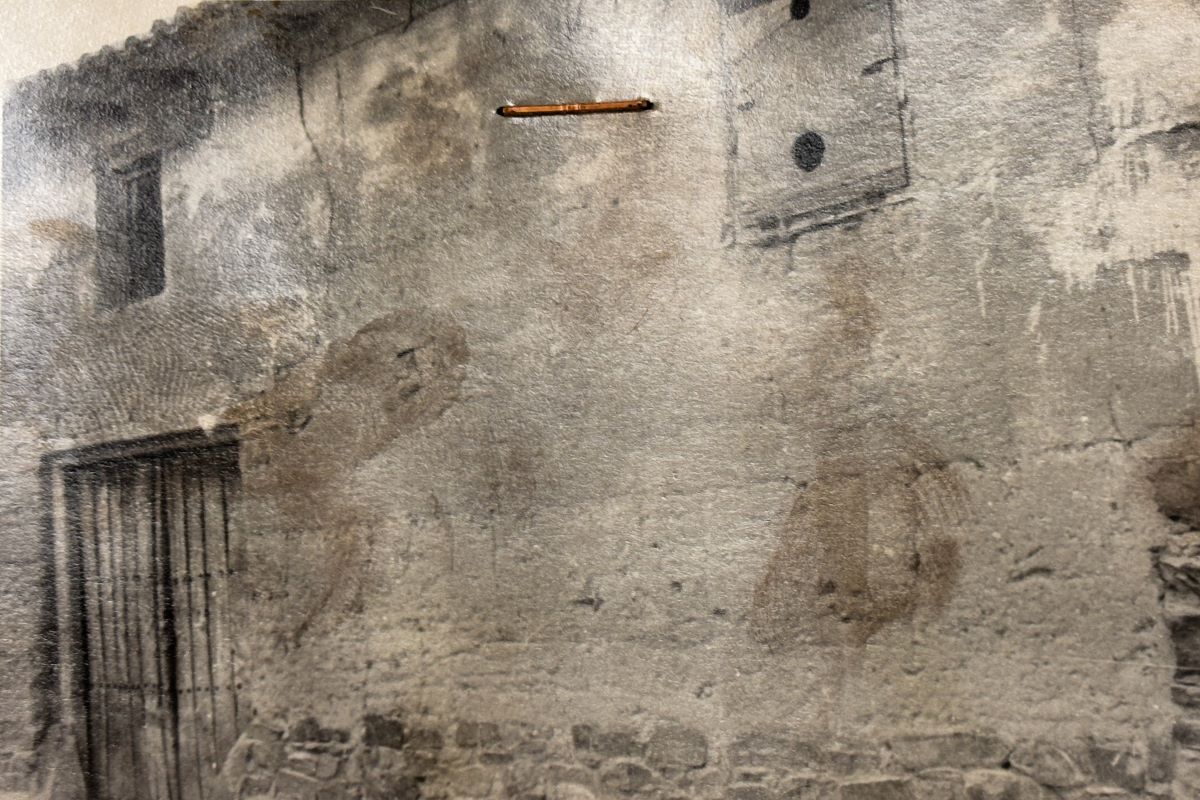 Foto de Alamo 2 Sitrama de Tera 1971 AHP Zamora