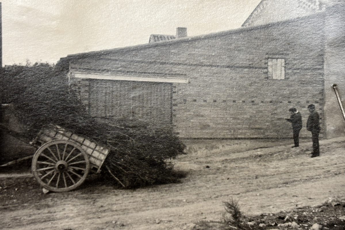 Foto de Paneras 41 Sitrama de Tera 1971 AHP Zamora