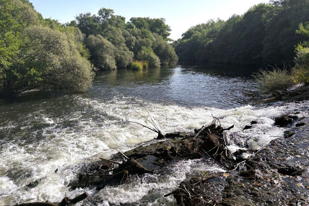 Presa r&iacute;o Tera Sitrama Micereces