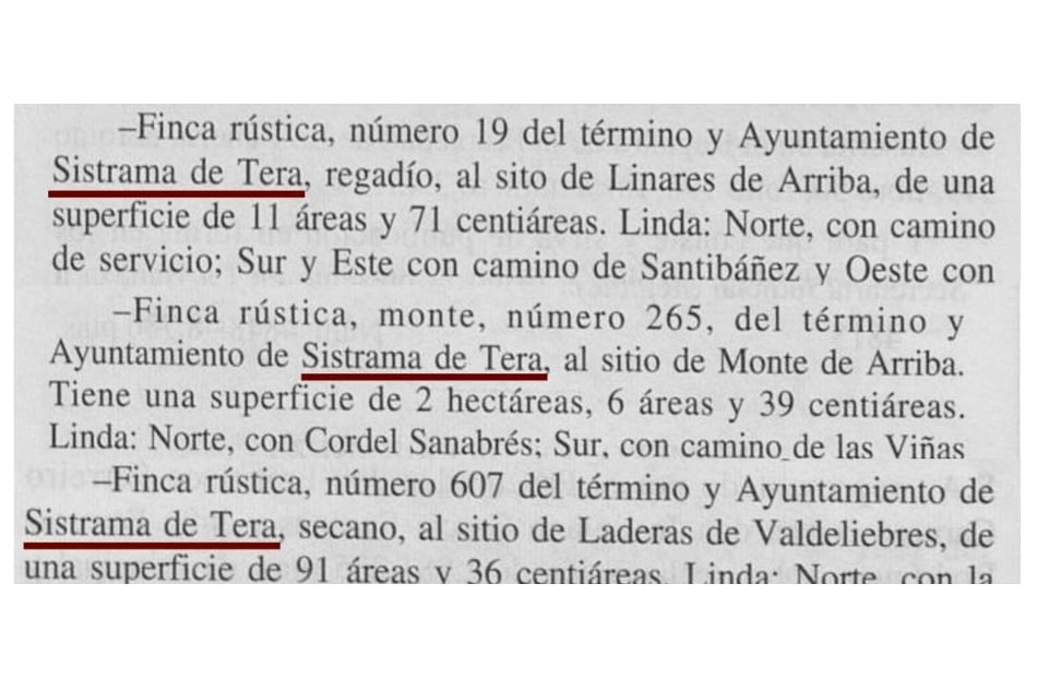 Sistrama 1994 Sitrama Bolet&iacute;n Oficial de Le&oacute;n