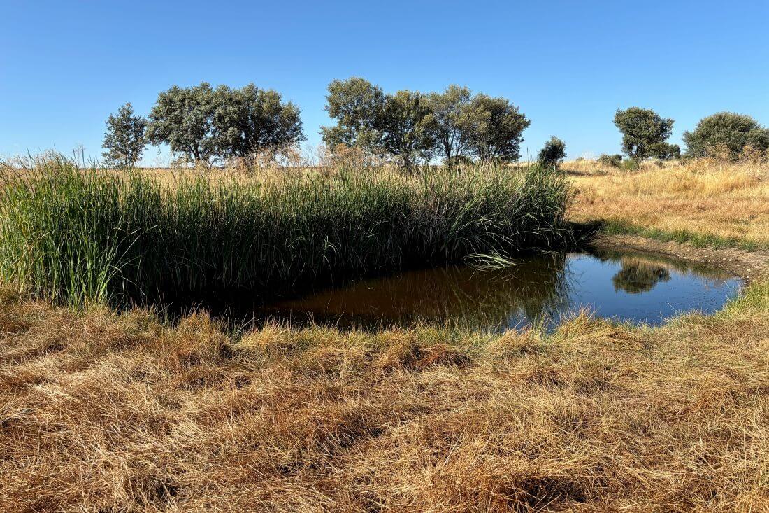 Laguna de Gudino o Santa Marta Sitrama